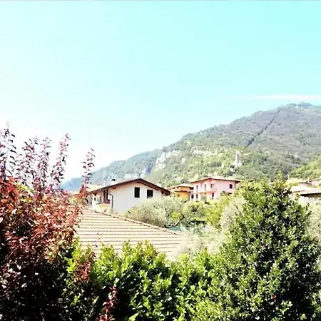 Il Guscio *